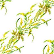 Wild flowers seamless pattern on white background N11