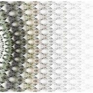 Symmetrical green fractal flower digital logarithm