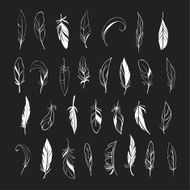 Vector set of different hand drawn feathers on blackboard