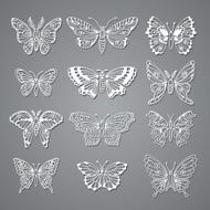 Set of Butterflies Decorative Isolated Silhouettes in Vector N4
