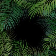 Palm Leaves Background