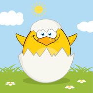 Cute Chick With Egg Shell And Background