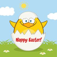 Cute Chick With Egg Shell Also Background And Text