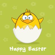Cute Chick Showing From Egg Shell And Background