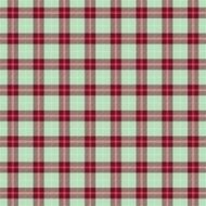 Brown green seamless tartan cloth pattern N2