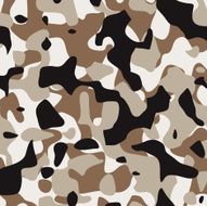 Camouflage Pattern Modern Desert