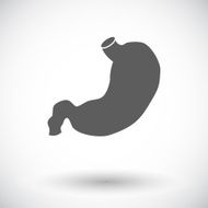 stomach icon N13