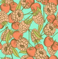 Sketch raspberry and cherry in vintage style