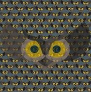 Pattern N360