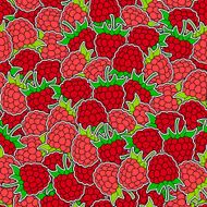 raspberrys seamless background