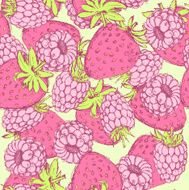 Sketch strawberry and raspberry in vintage style