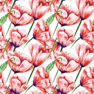 White Pattern with Watercolor Poppies