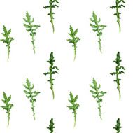 seamless pattern with leaves of arugula N2