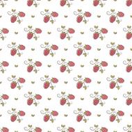 branches of raspberry pattern N2