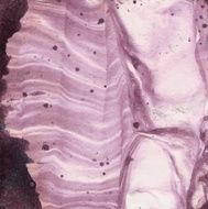 Vector Purple Background Paper Handmade Texture