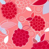 Fresh Taste of Summer Raspberry