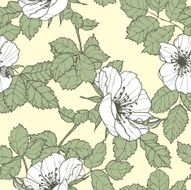 Seamless pattern with flowers rose N47