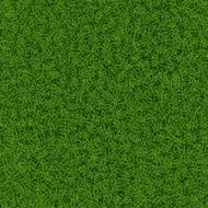 Grass Texture N2