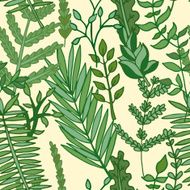 herbal pattern hand drawn vector illustration N2