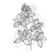 Seamless pattern with flowers orchids N20
