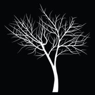 Trees with dead branch N96