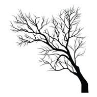 Trees with dead branch N97