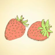 Sketch tasty strawberry in vintage style N2