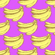 Sketch tasty bananas in vintage style