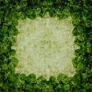 green grunge texture