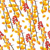 Seamless autumn pattern N12