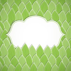 nature frame N2