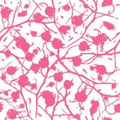Rosehip branches with berries seamless pattern N2