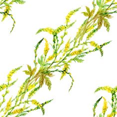 Wild flowers seamless pattern on white background N11