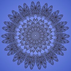 Circular pattern ornament