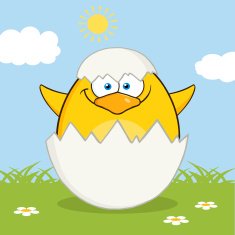 Cute Chick With Egg Shell And Background