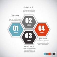 Infographic Templates for Business Vector Illustration N2302