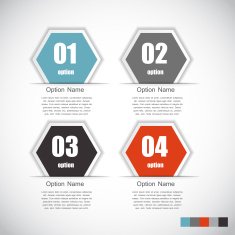 Infographic Templates for Business Vector Illustration N2303