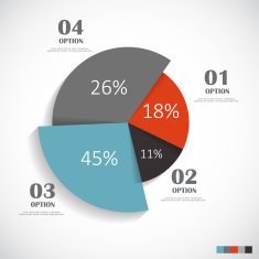 Infographic Templates for Business Vector Illustration N2308