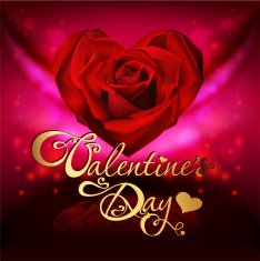 valentine's day card with roses N8