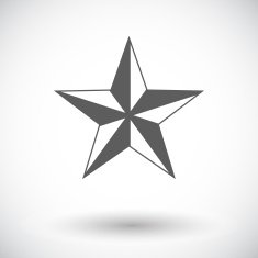 Christmas Star N15