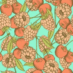 Sketch raspberry and cherry in vintage style