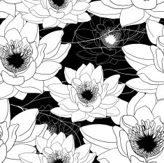 monochrome seamless pattern with water lilies