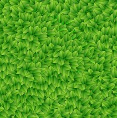 Green leaves texture Vector illustration N2