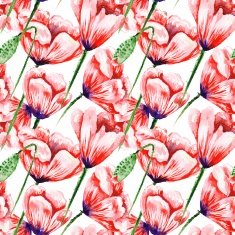 White Pattern with Watercolor Poppies