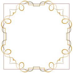 Vector Vintage beautiful elegant frame Element for design N3