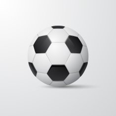 Traditional style soccer ball Vector illustration