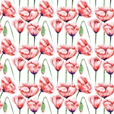White Poppy Pattern N2