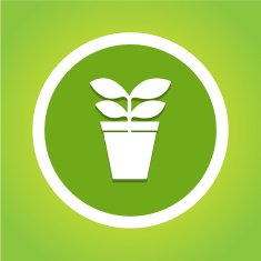 Tree in Circle icon great for any use Vector EPS10