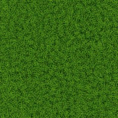 Grass Texture N2