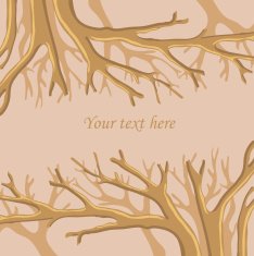 Cute floral seamless background with text place N6